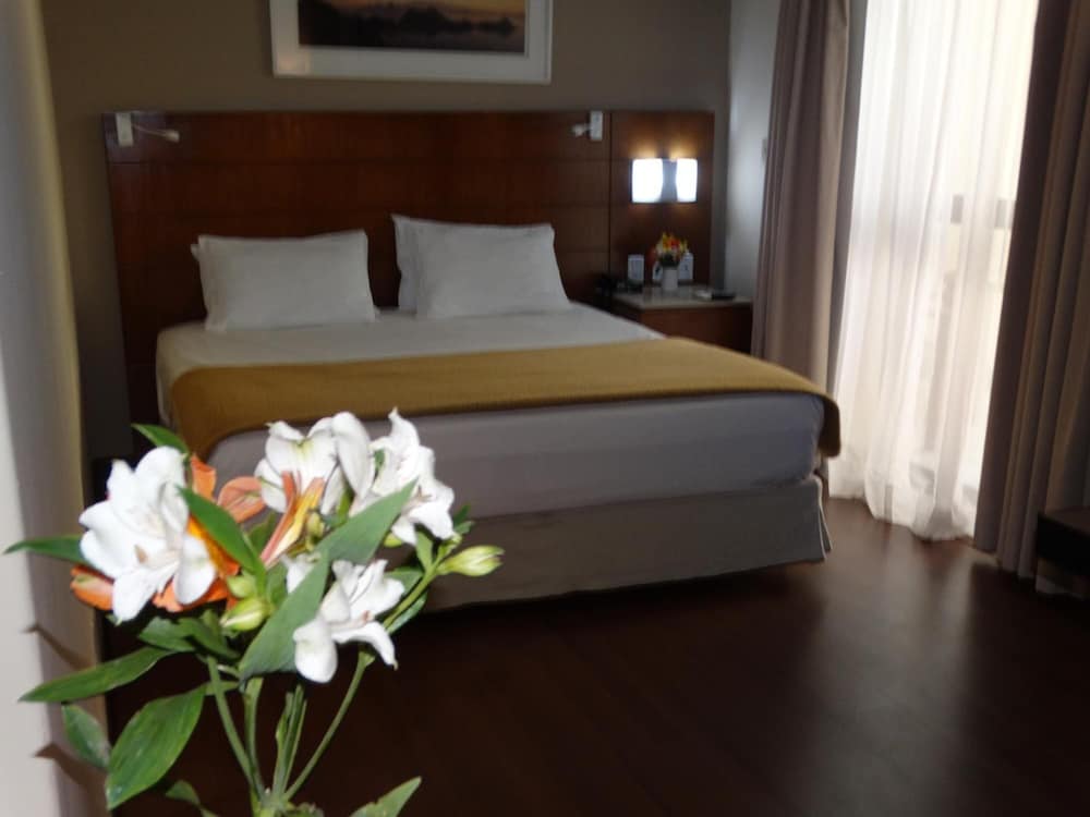 Castel Plaza Hotel 20/61