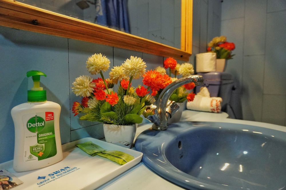 Swan Group Of Houseboats 20/50