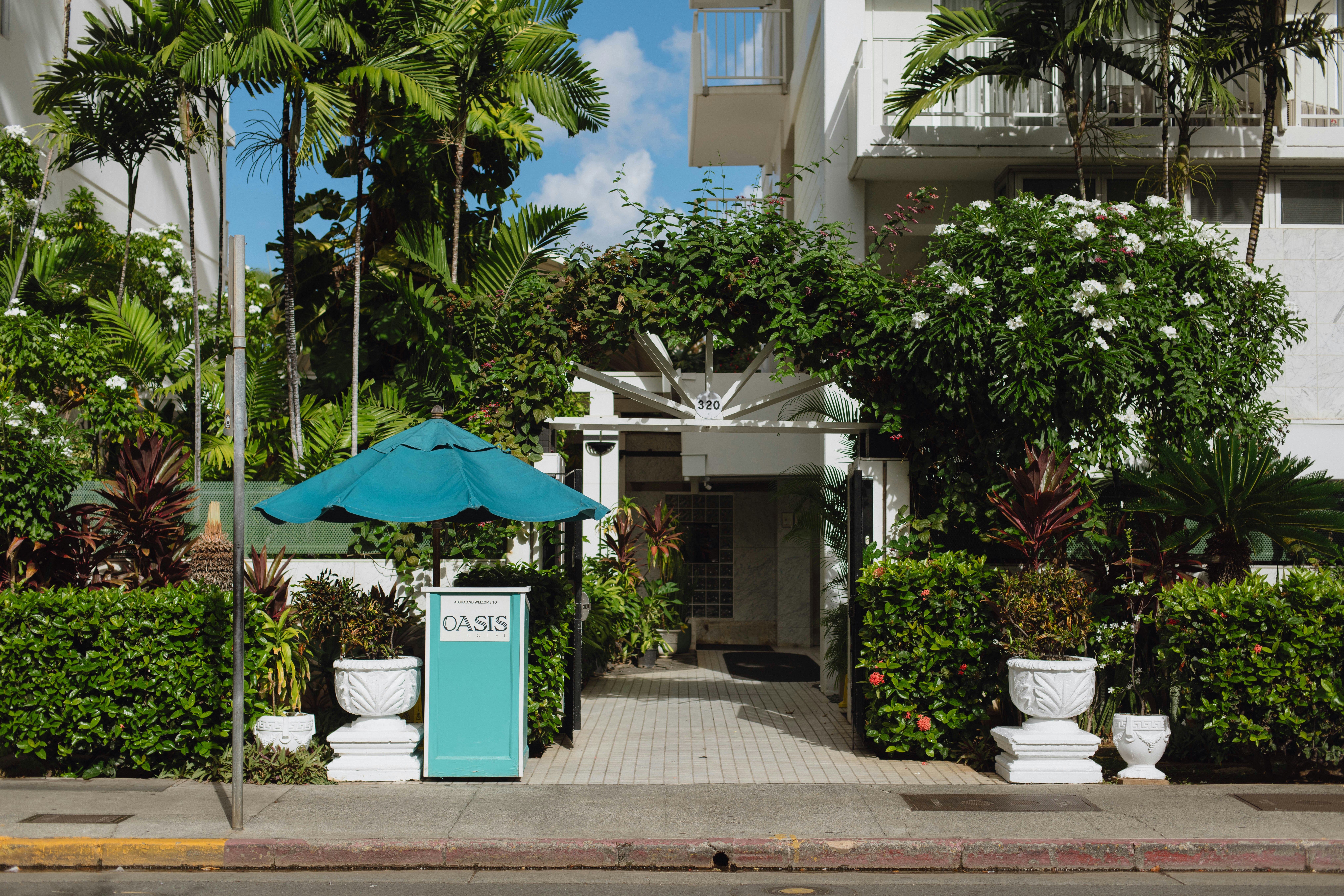 Oasis Hotel Waikiki 31/37