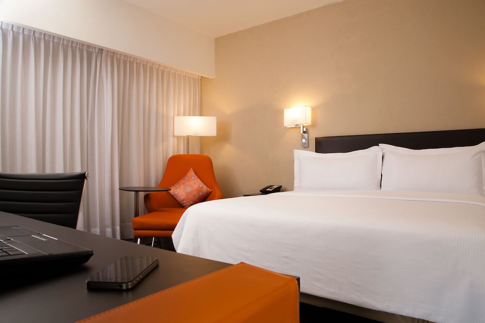 Fiesta Inn Puebla Las Animas 13/73