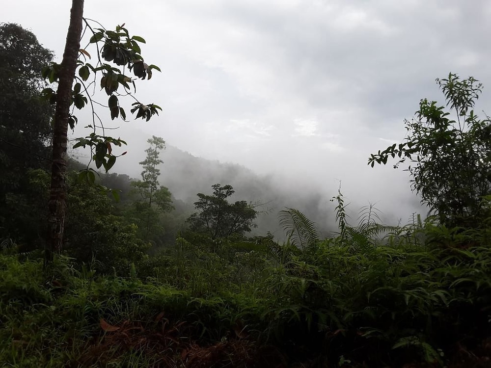 Sinharaja Birder's Lodge 29/36