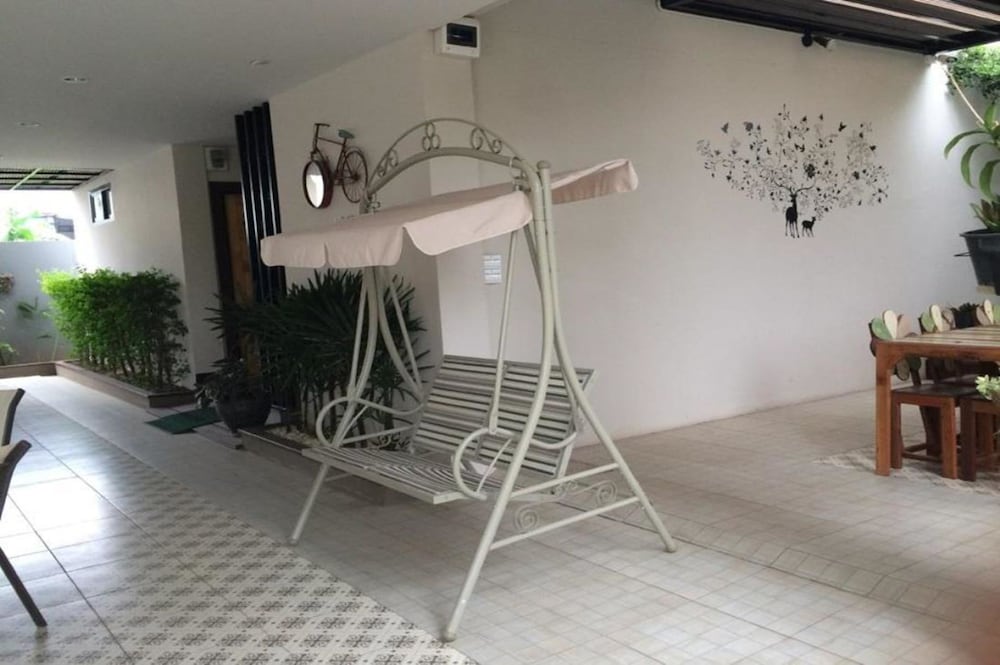 Dino Studio 24/39
