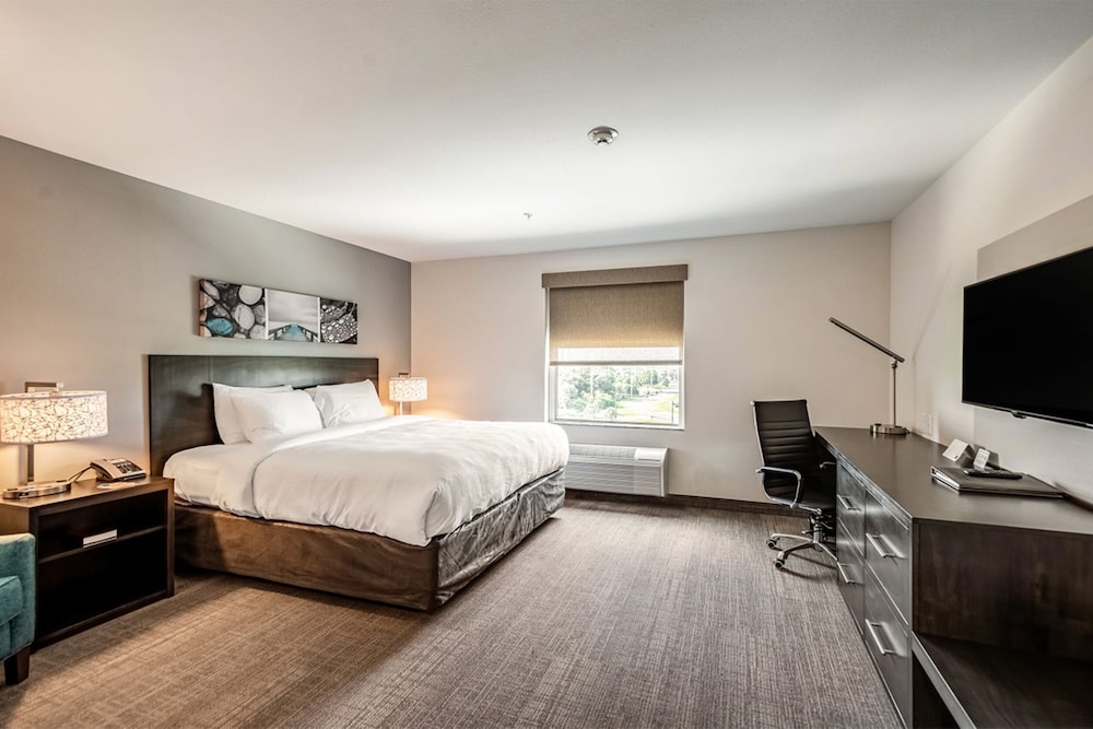 Efficiency, King Bed