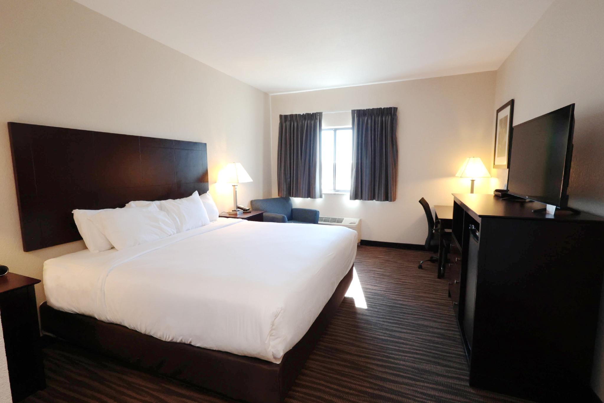 Guest Room, Single, King Bed, Accessible