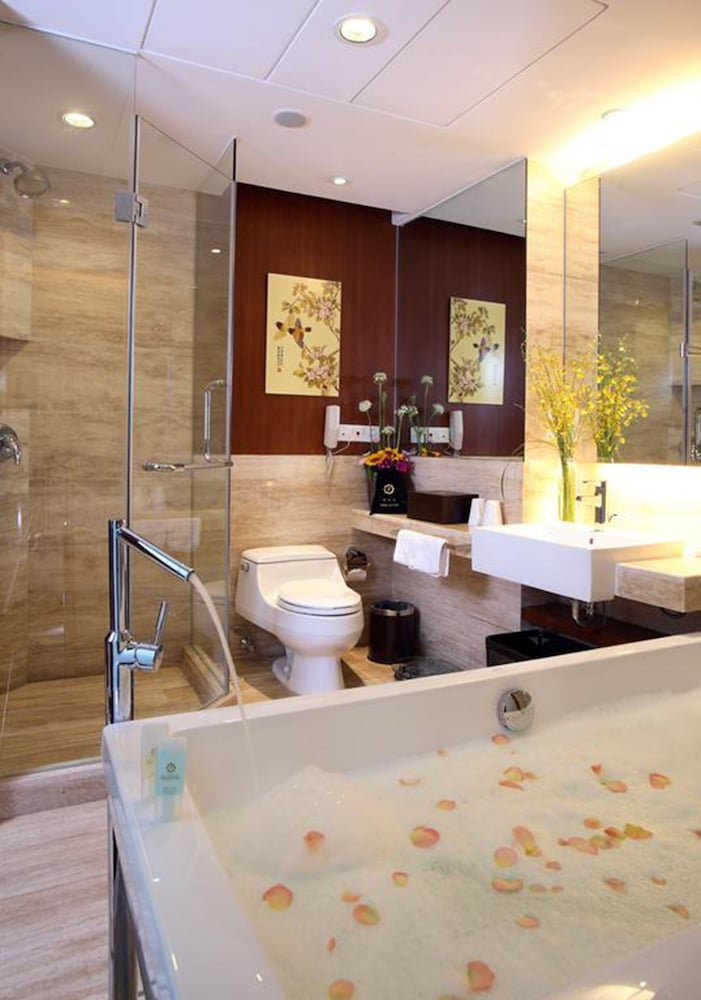 swimming pool spa