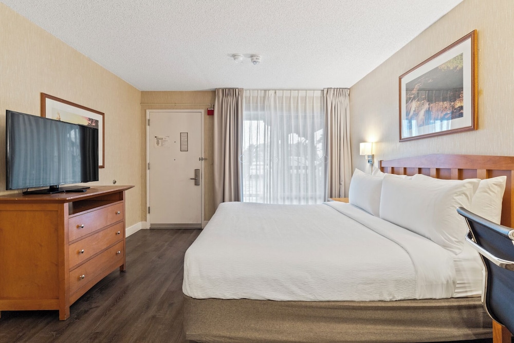 Standard, Single, King Bed, Accessible, Vagabond Inn Executive San Francisco Airport 2/4