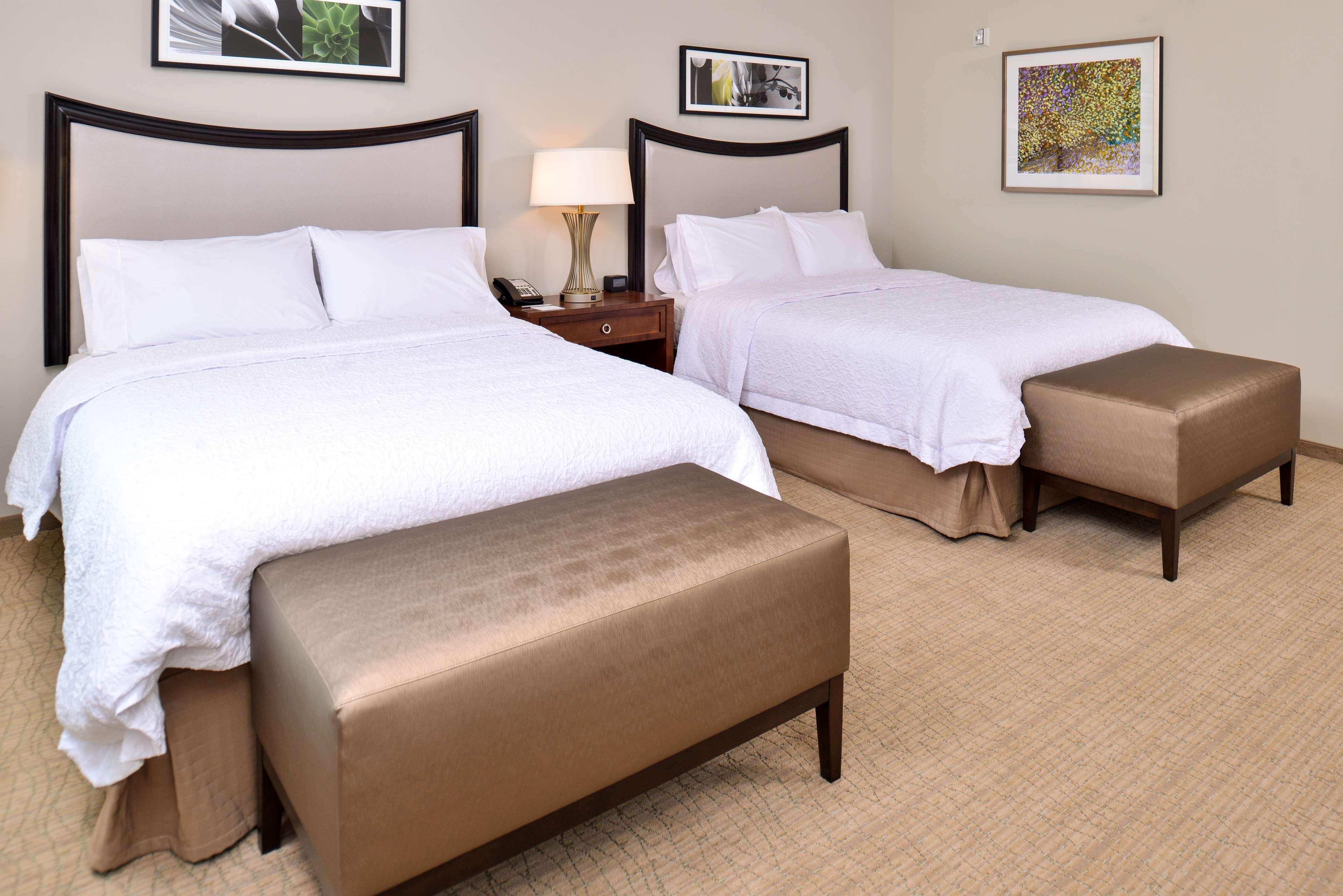 STUDIO, SUITE, 2 QUEEN BEDS