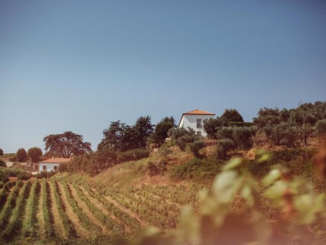 Hotel Rural Casa Dos Viscondes Da Varzea 67/75