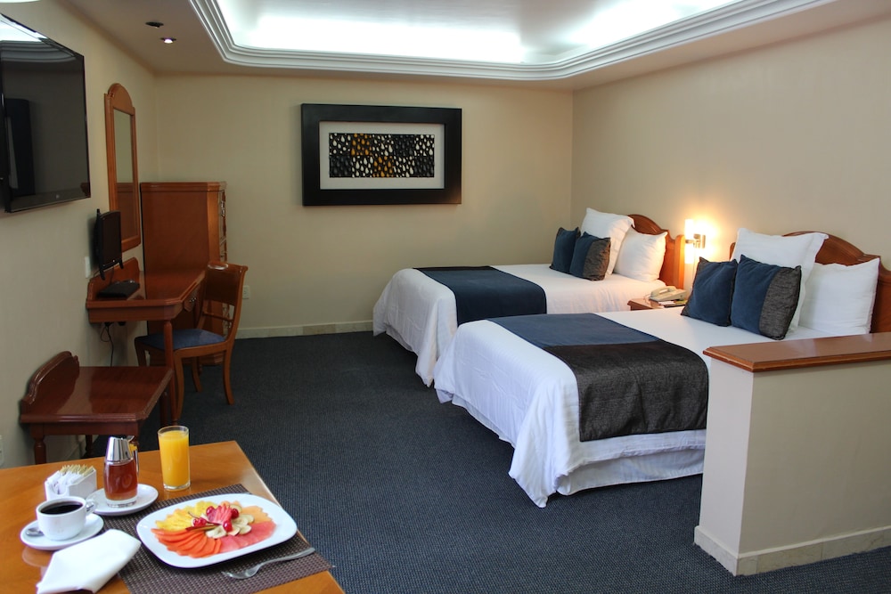 Hive Mexico City by G Hotels 14/56