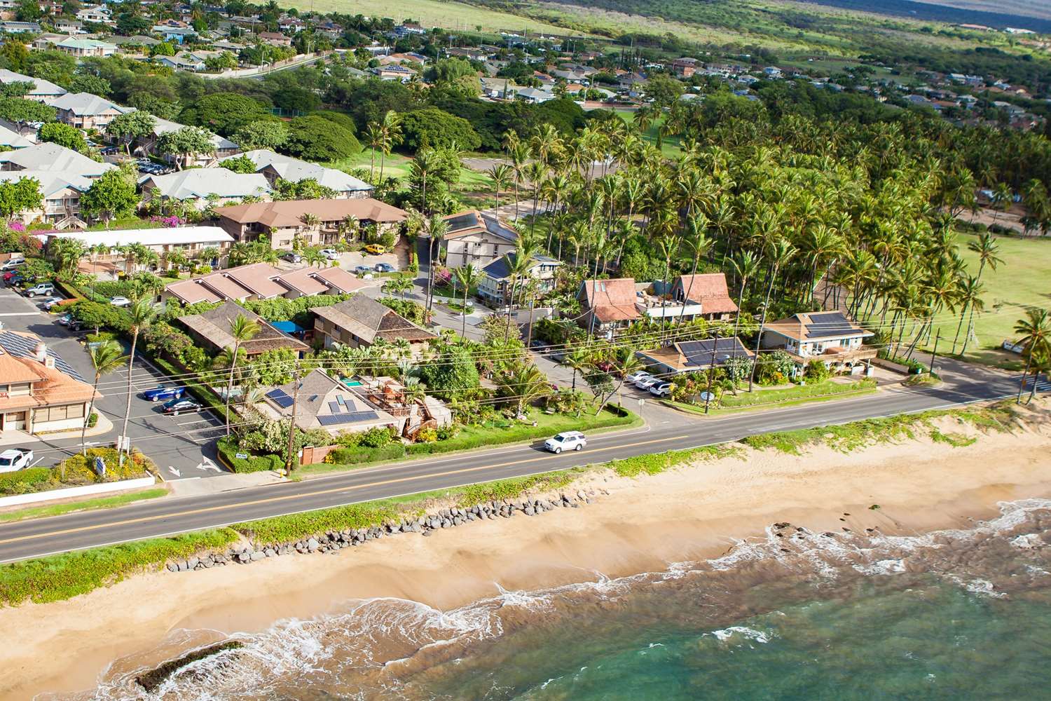 Kohea Kai Maui 10/11