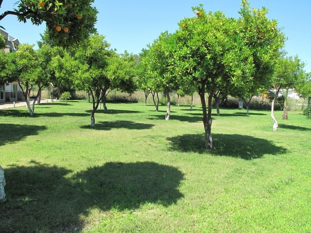 Batont Garden Resort Hotel 18/43