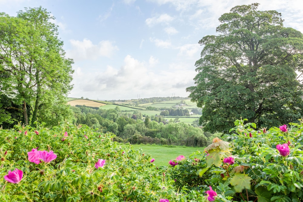 Mansion House Llansteffan 24/32