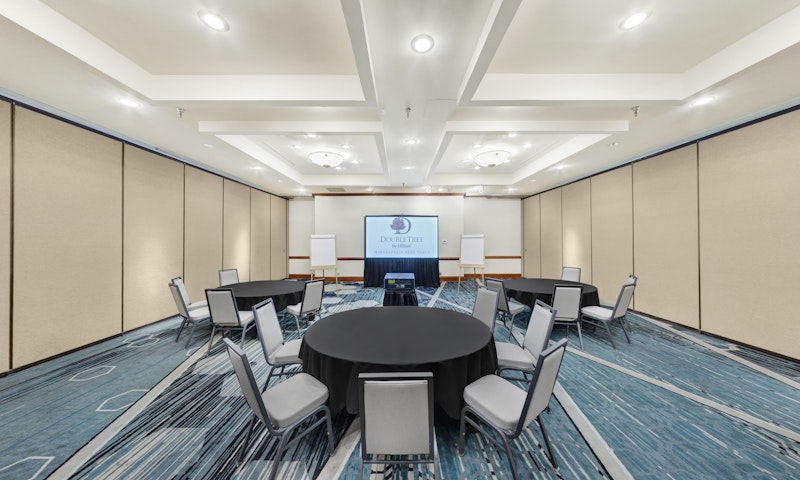 Doubletree Hotel Minneapolis Park Place 33/39