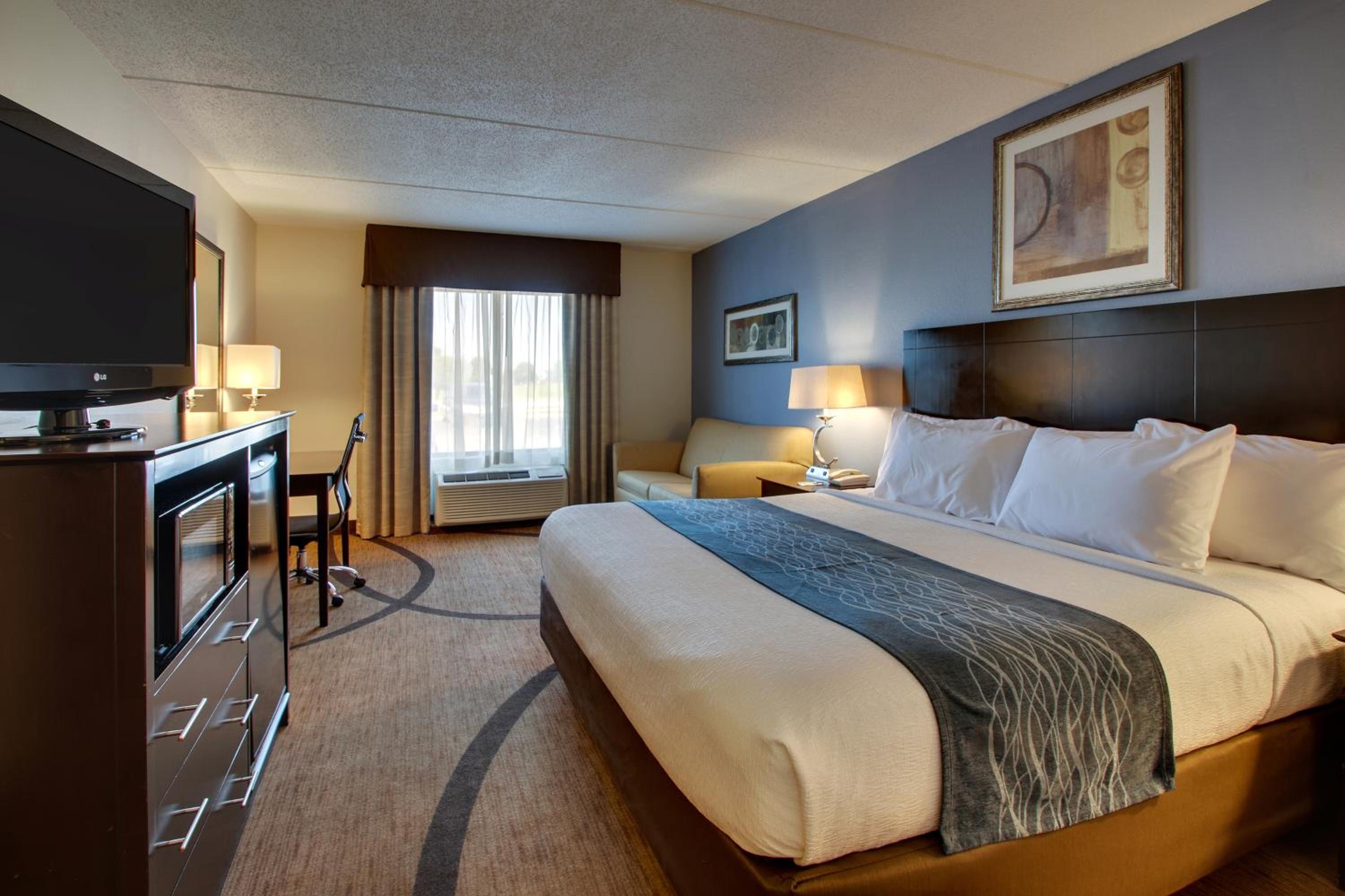 Room, King Bed