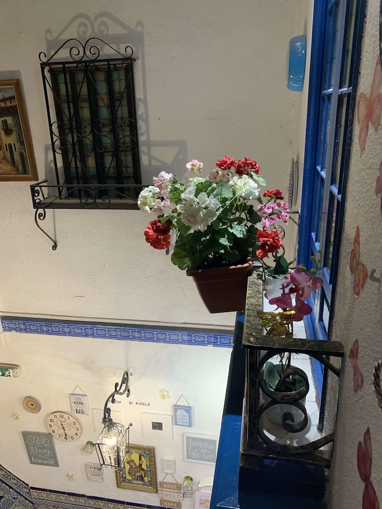 Pension Giraldilla 17/67