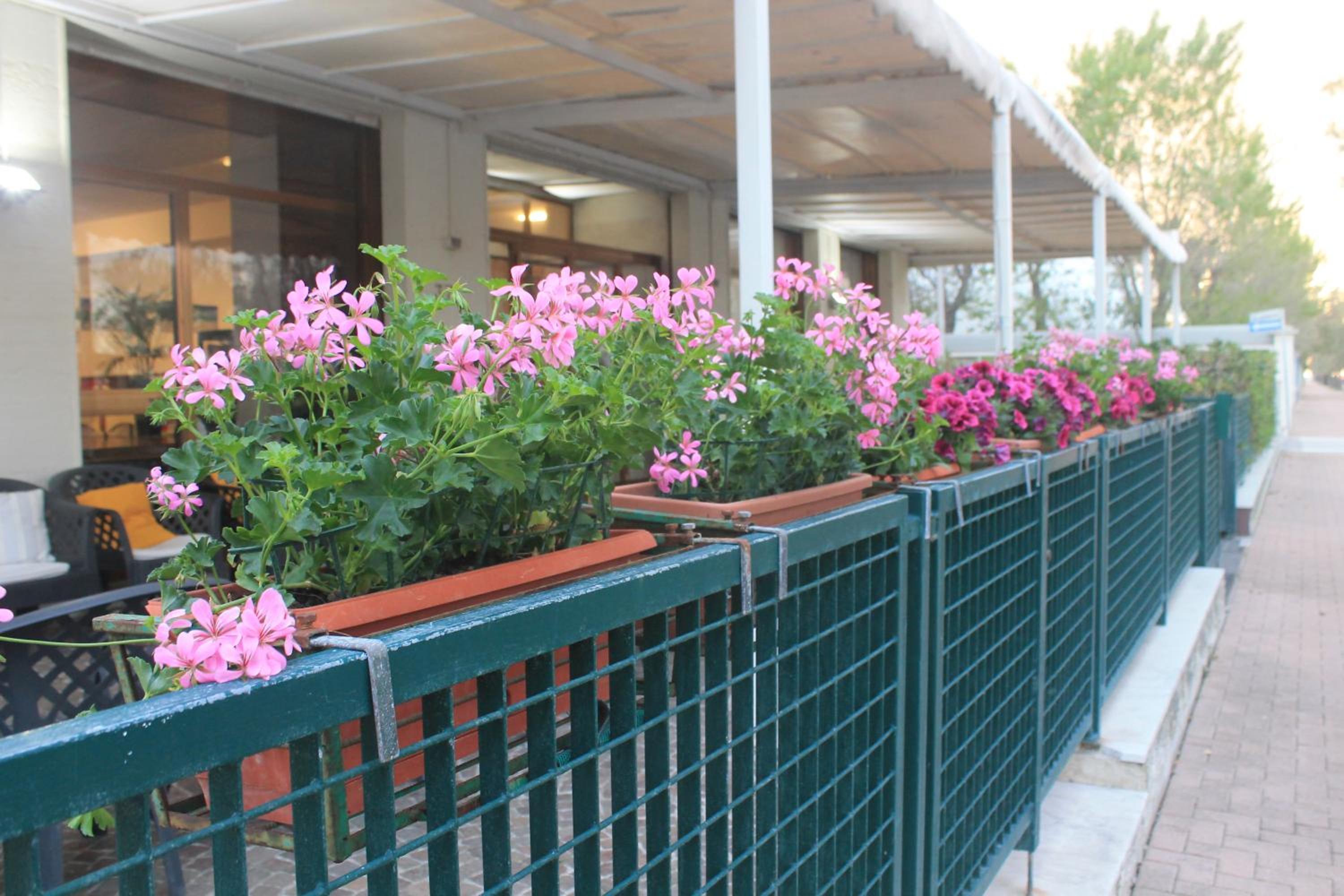 Hotel Mare 3/50