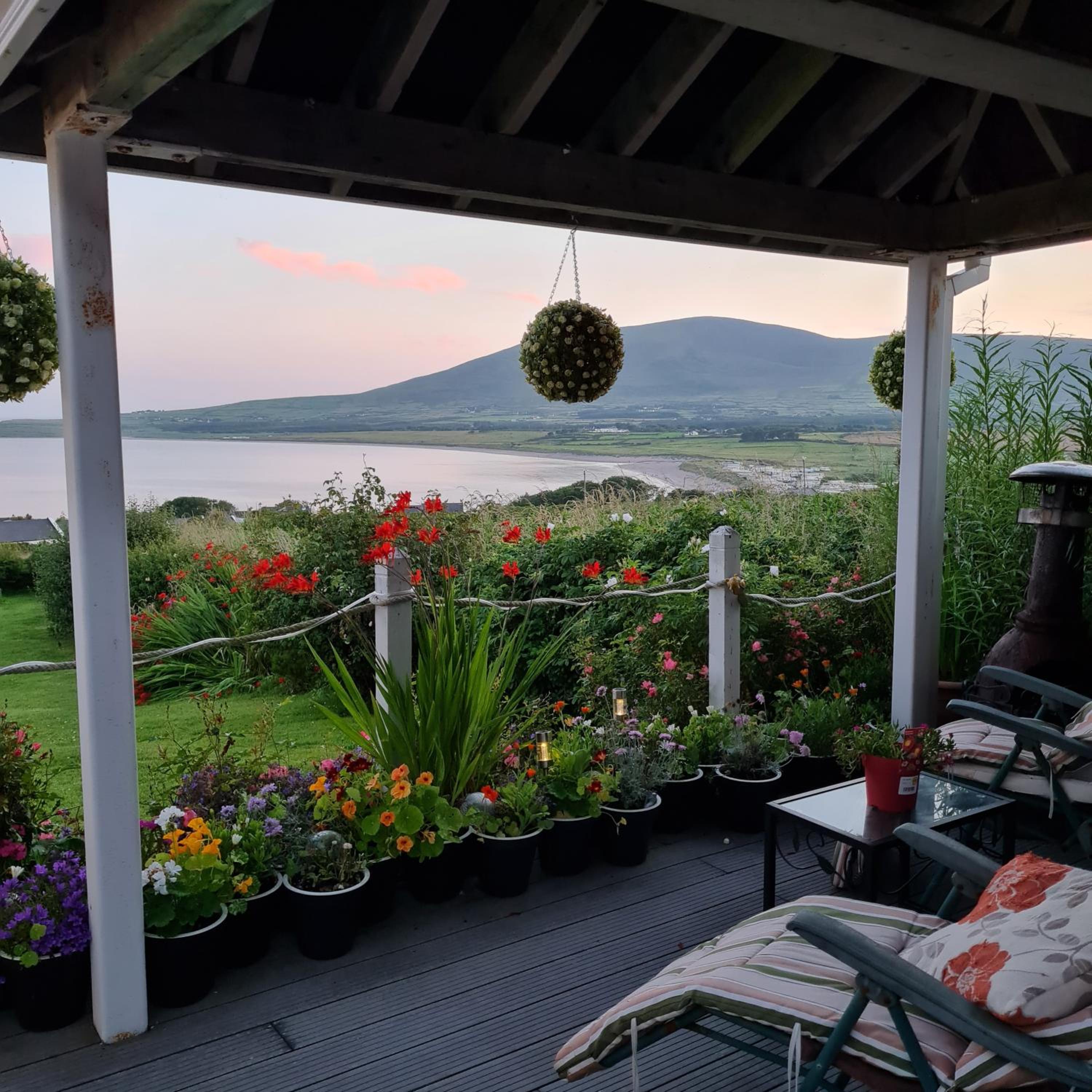 The Plough in Ventry