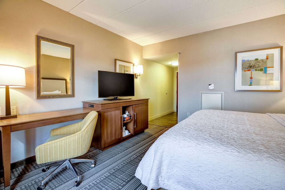 1 Bedroom, Suite, King Bed, Sofa