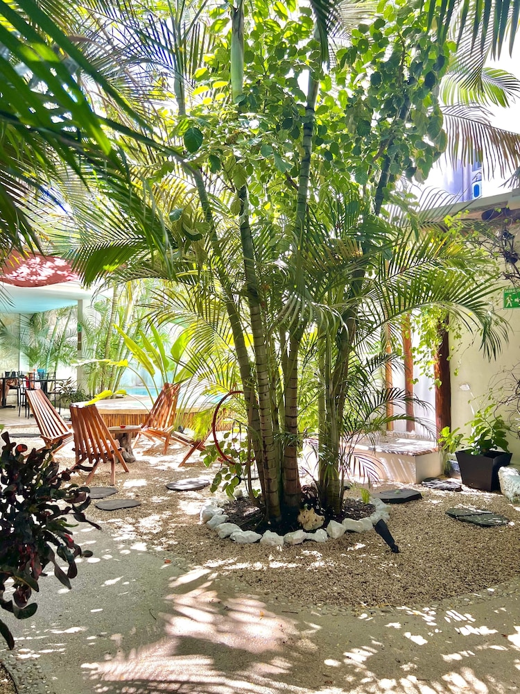 Pacha Tulum Boutique Hotel 74/84