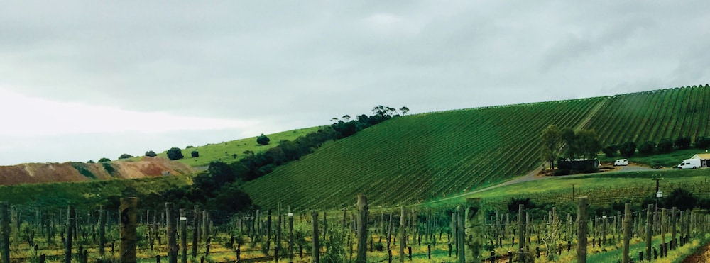 McLaren Vale Studio Apartments 41/50