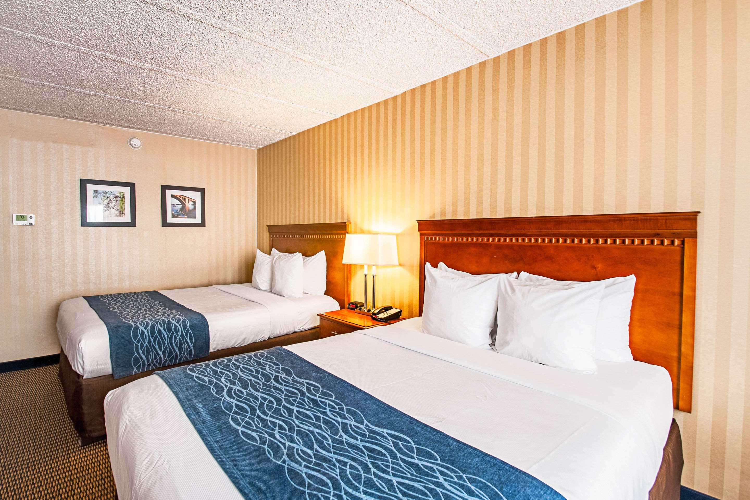 Suite, King Bed