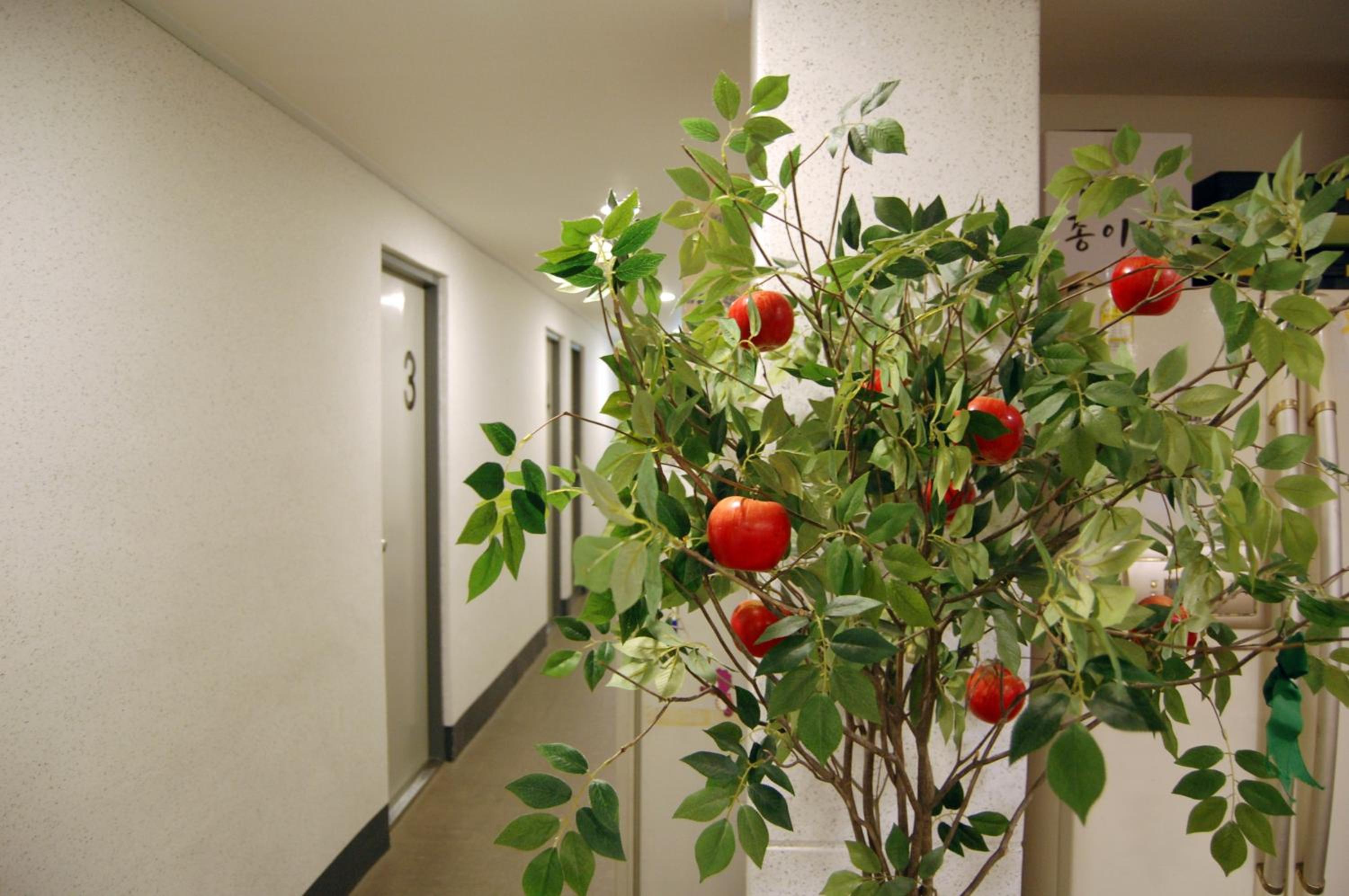 Empathy Dongseongro Guesthouse - Hostel 11/79