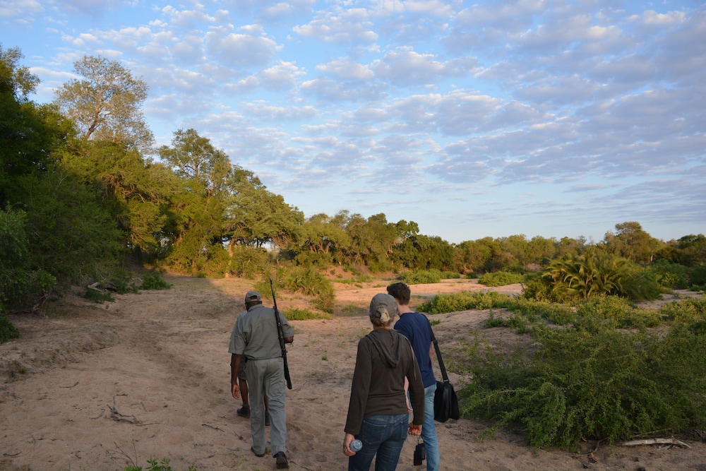 Rhino Walking Safaris 32/41
