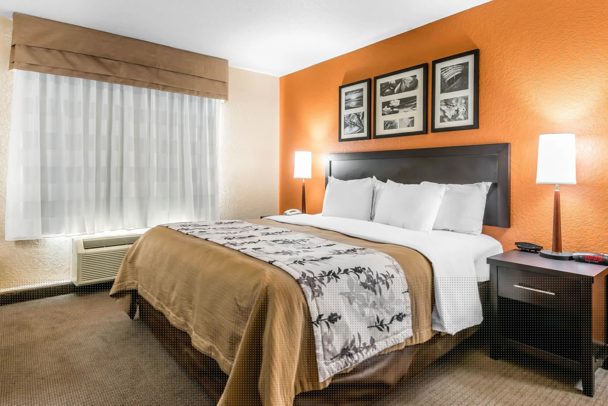 ROOM, KING BED, ACCESSIBLE