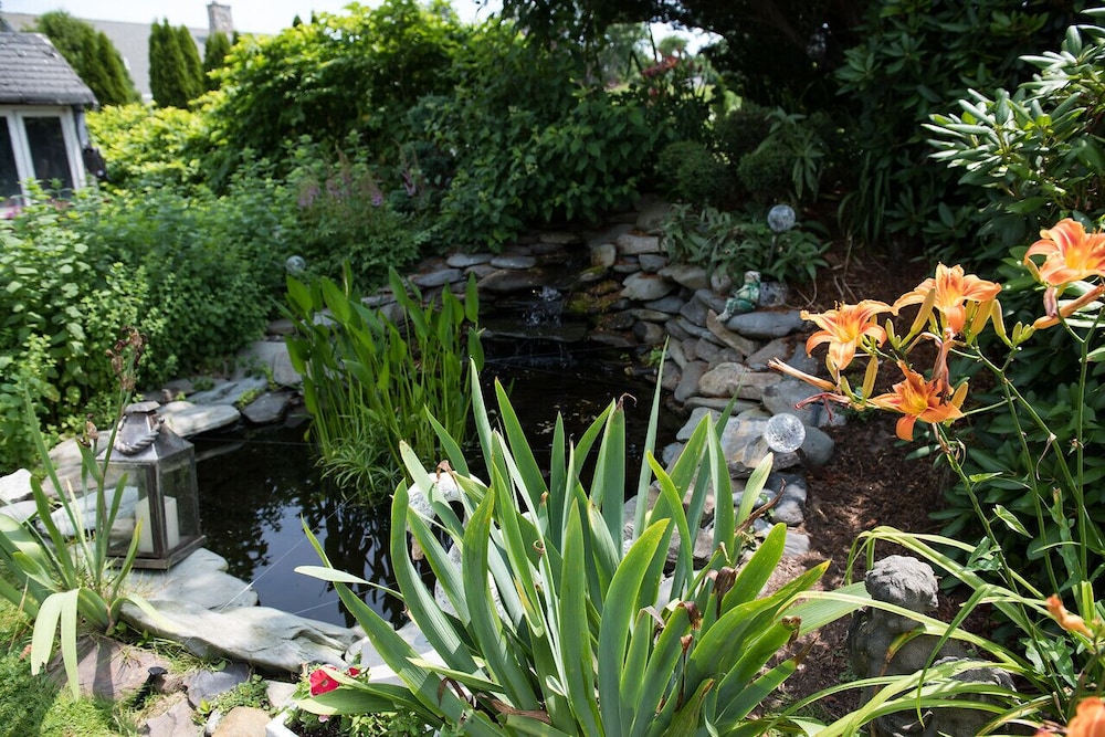 Gardenview Bed And Breakfast 37/43