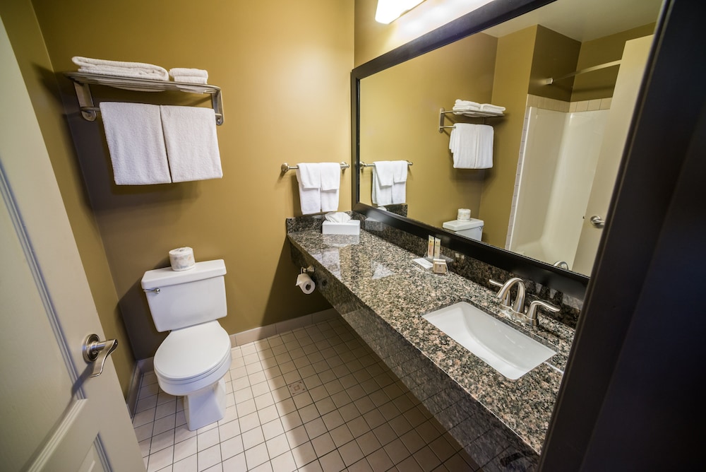 غرفة قياسية صغيرة بسرير كوين، Best Western Plus Baker Street Inn 5/9