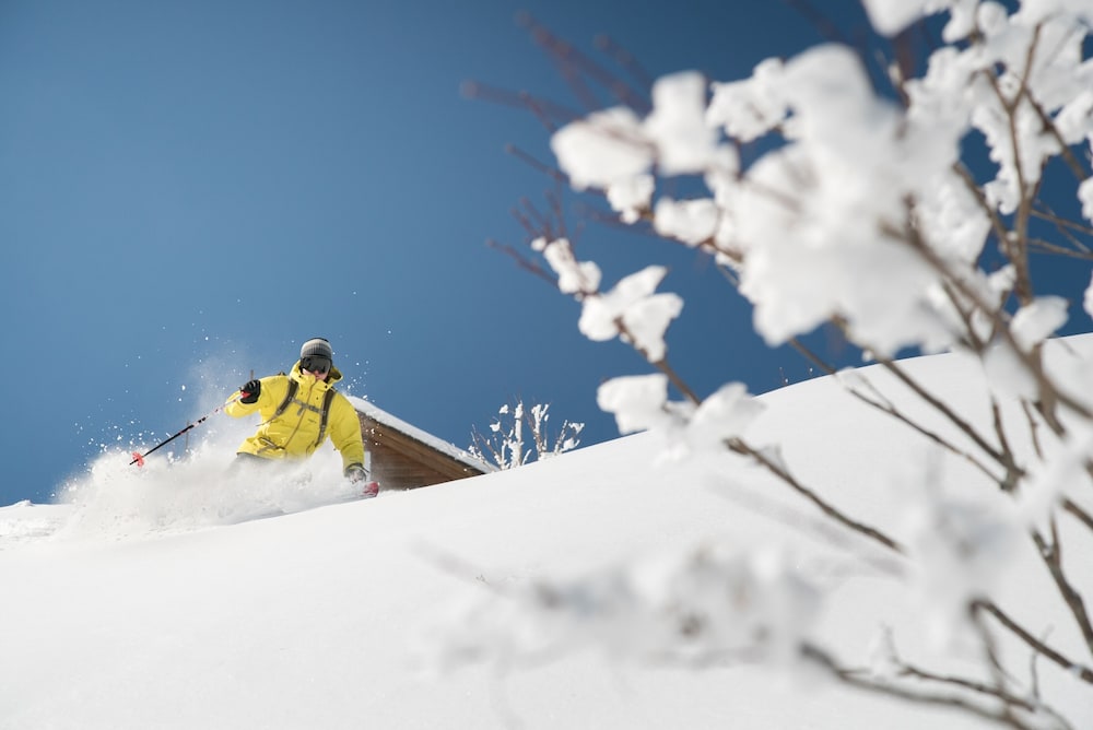 Hakuba Tokyu Hotel 42/50