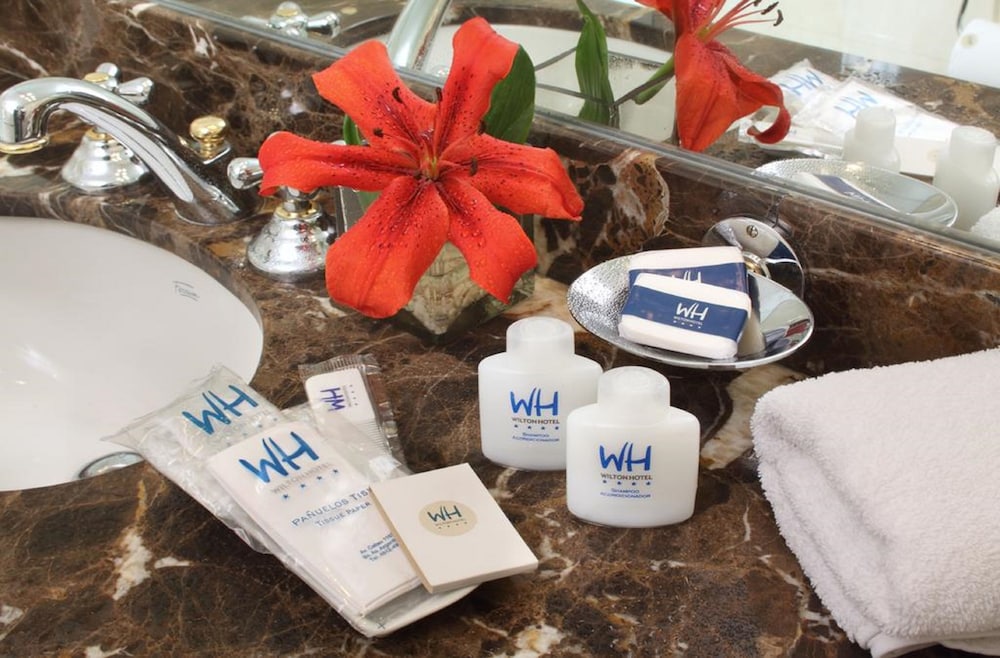 ウィルトン・ホテル・ブエノスアイレス 写真3