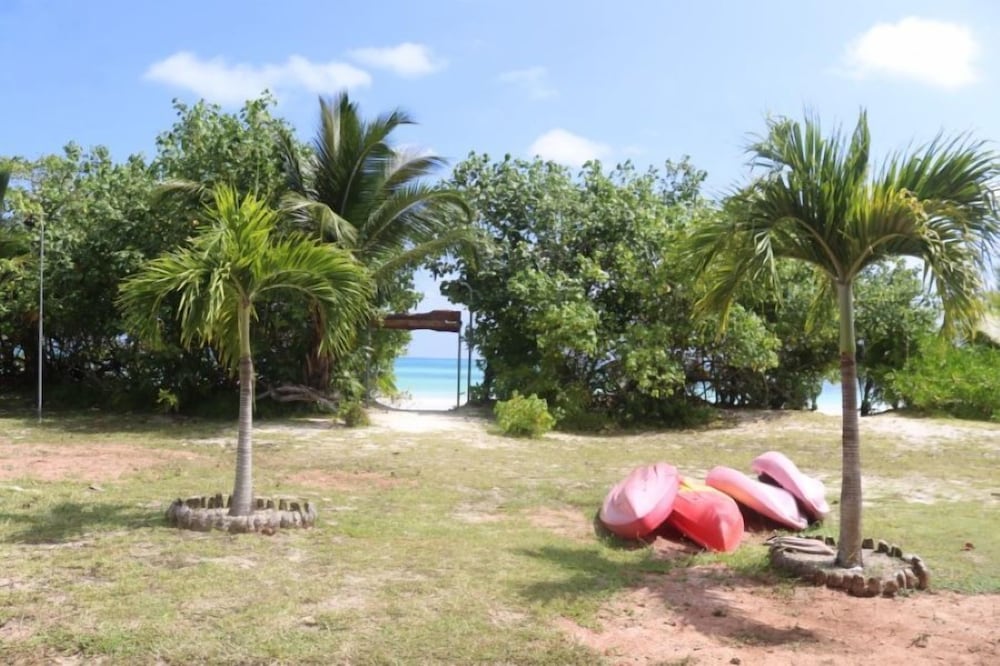 Heliconia Grove 38/46