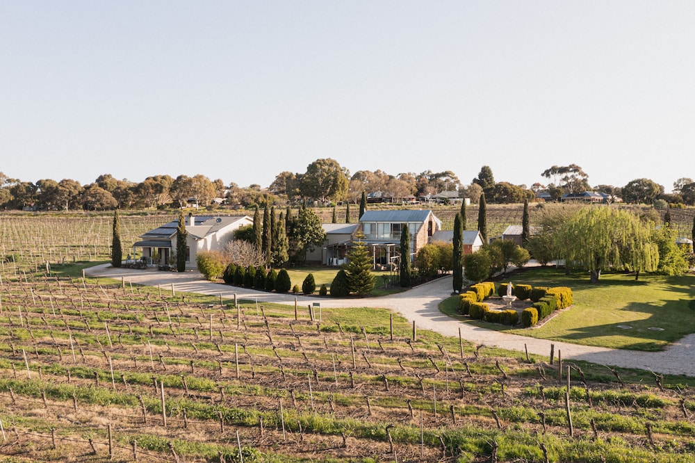 Barossa Shiraz Estate 39/50