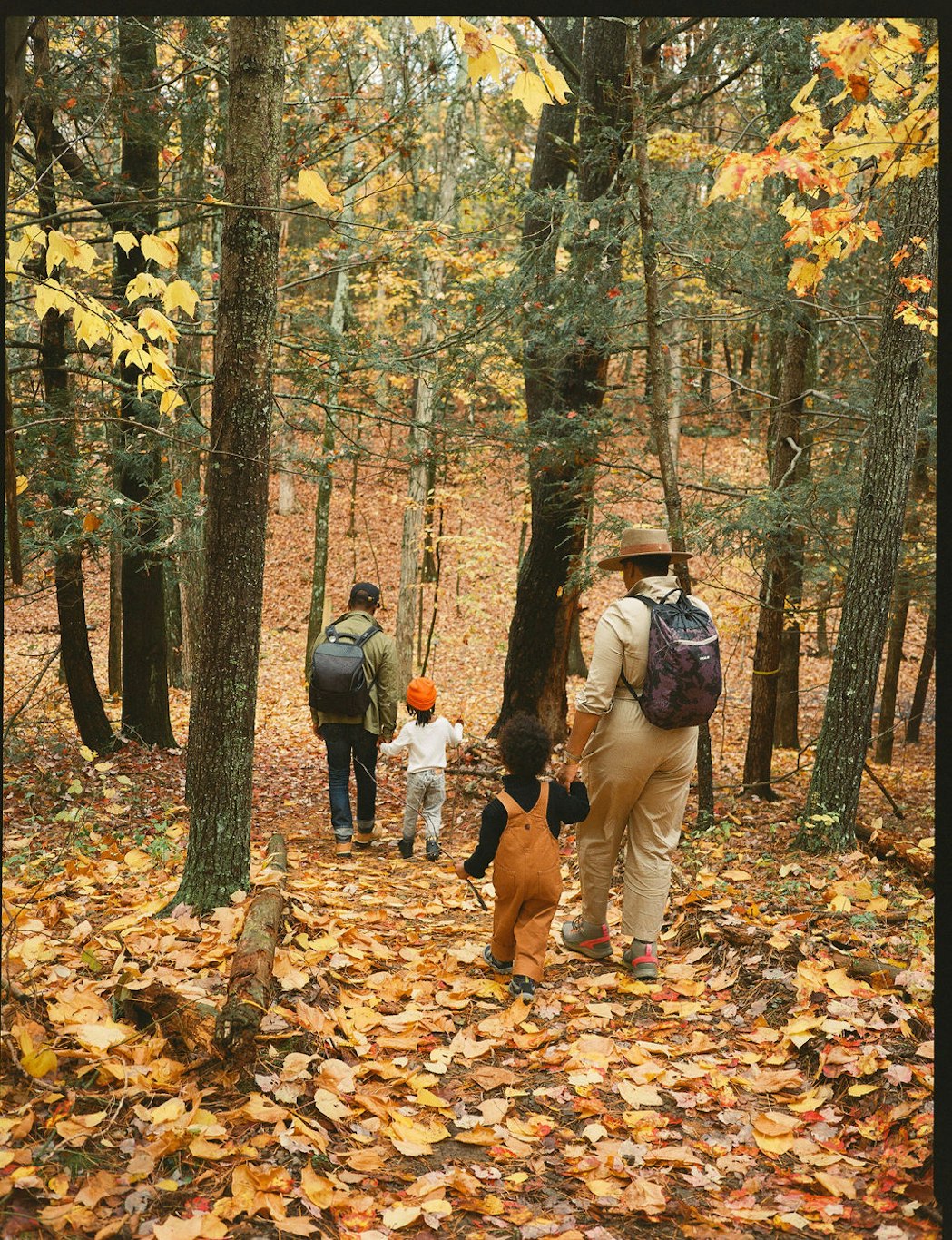 AutoCamp Catskills 42/50