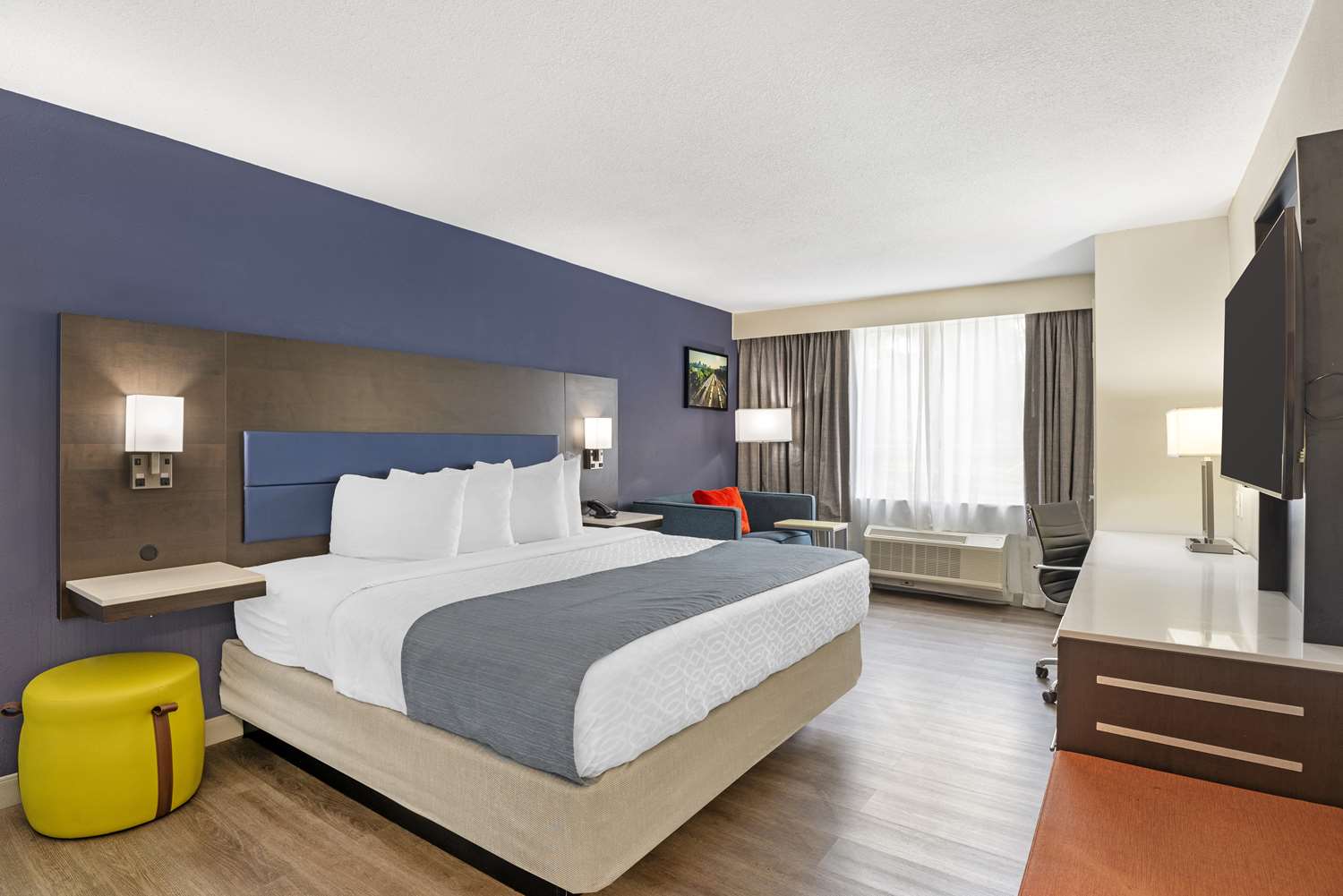 Executive, King Bed, Sofa