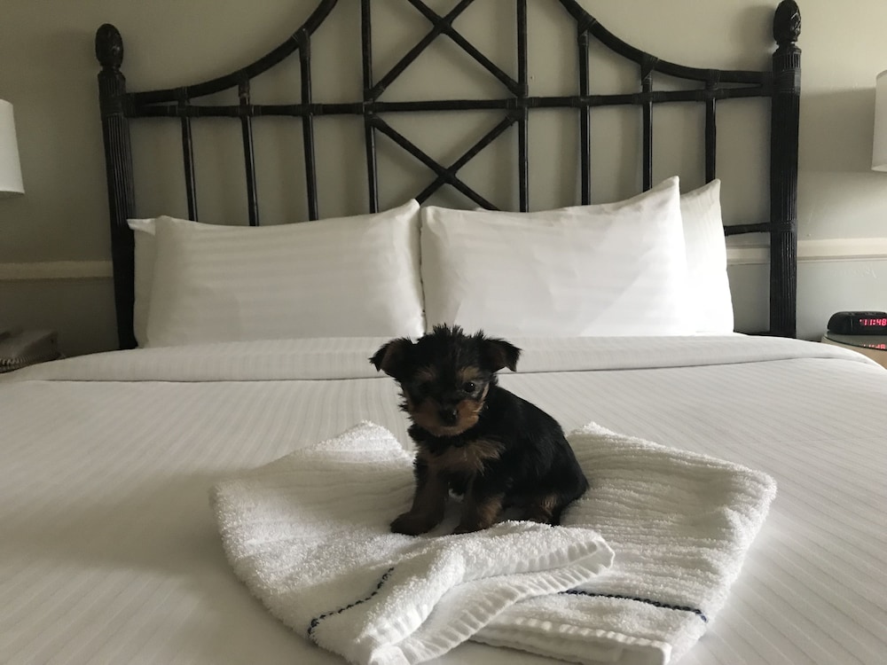 The Morgan Hotel San Simeon 11/50