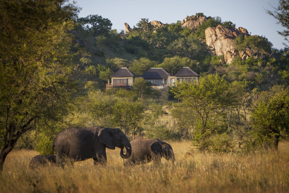 Four Seasons Safari Lodge Serengeti, Tanzania 4/66