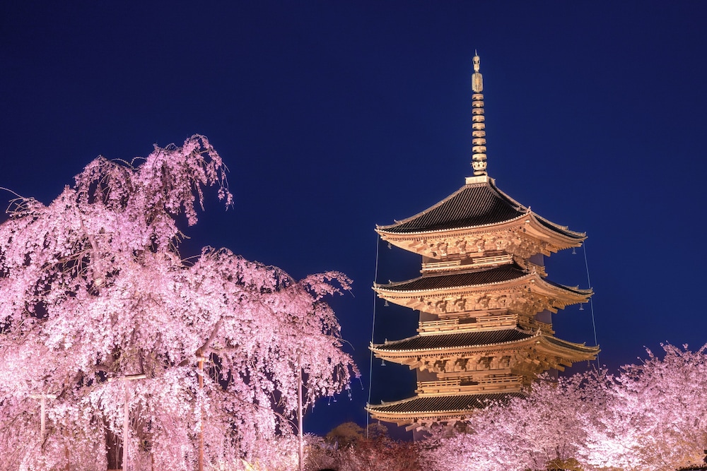 Omo3 Kyoto Toji by Hoshino Resorts 5/50