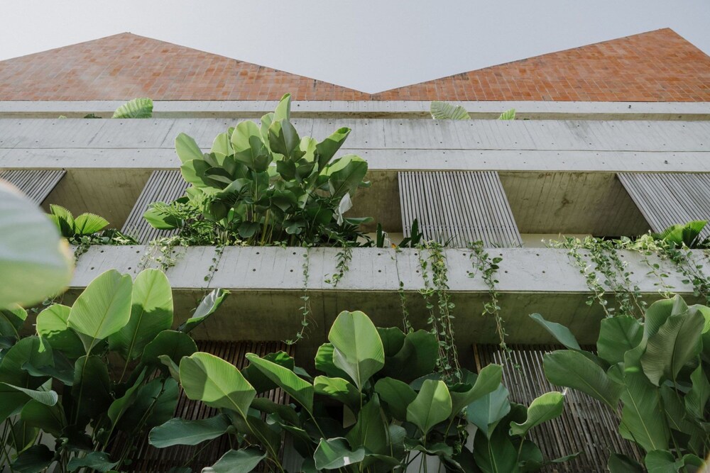 The Komu in Canggu