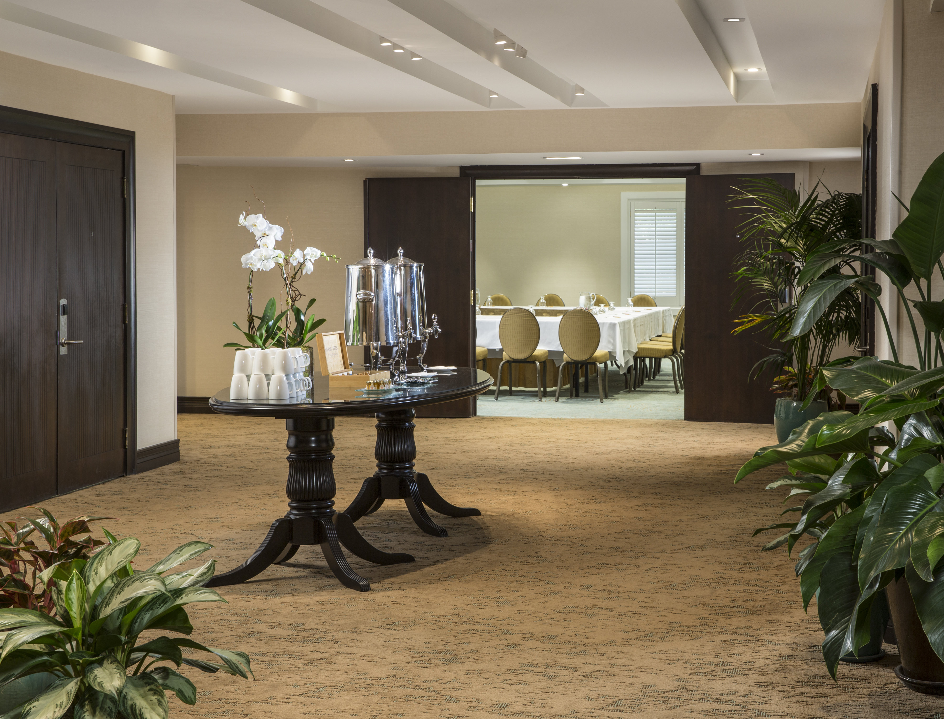 The Palms Hotel and Spa 20/50