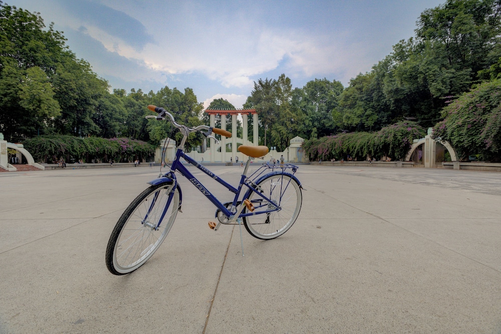 Park Condesa By Capitalia 43/50