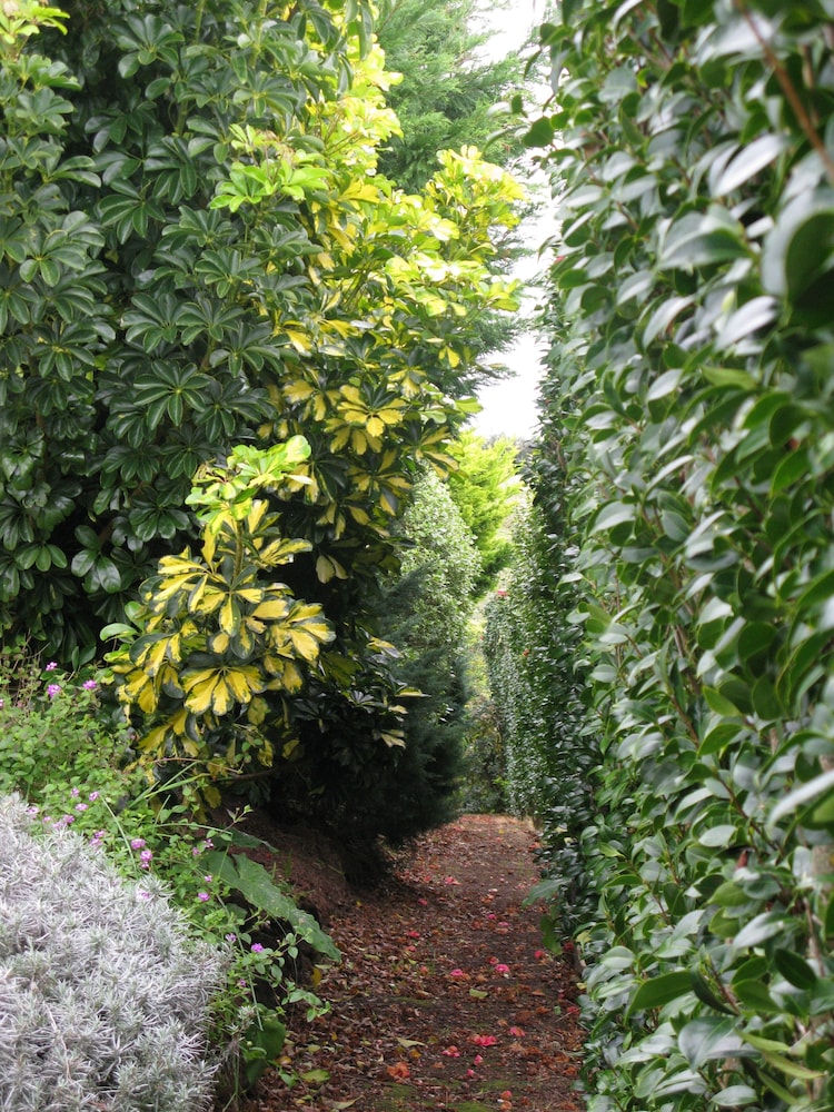 Quinta Das Buganvillas 22/36