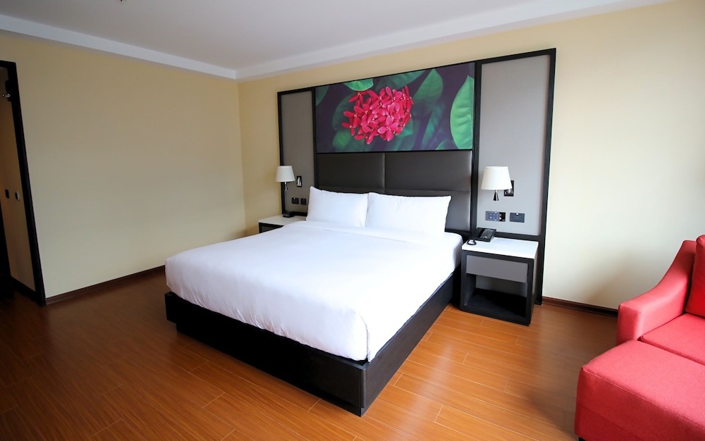 ROOM, KING BED, ACCESSIBLE