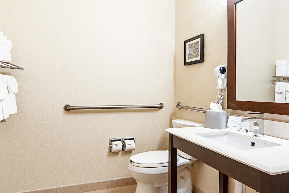 Comfort Suites NW Dallas Near Love Field 12/49