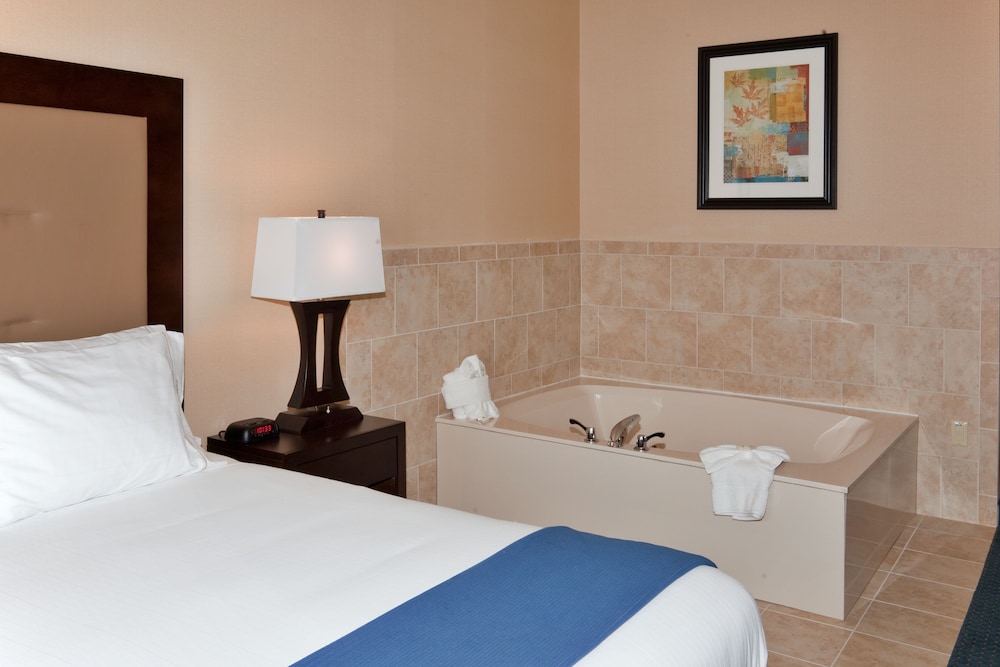 Holiday Inn Express Hotel & Suites Detroit-Novi 21/69