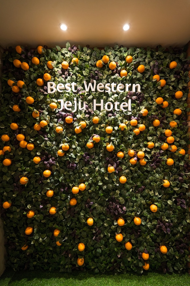 Best Western Jeju Hotel 44/48
