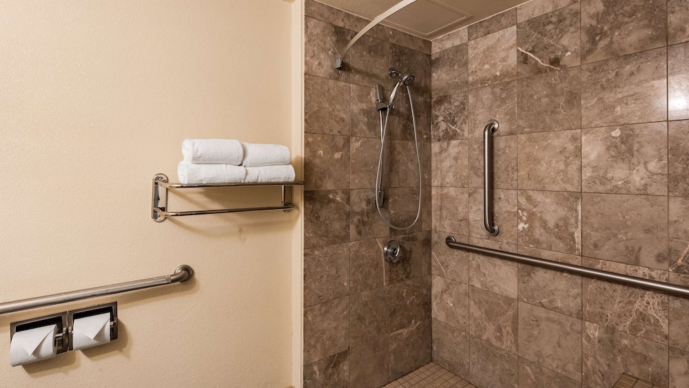 Standard, Queen Bed, Sofa, Accessible, Best Western Plus Reading Inn & Suites 4/5