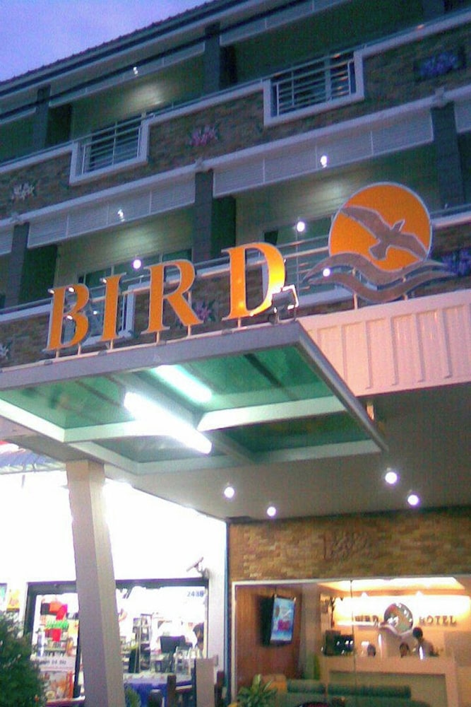 Bird Hotel 3/50