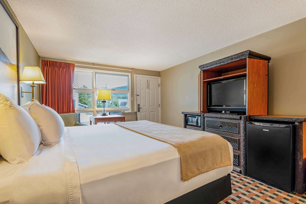Room, King Bed